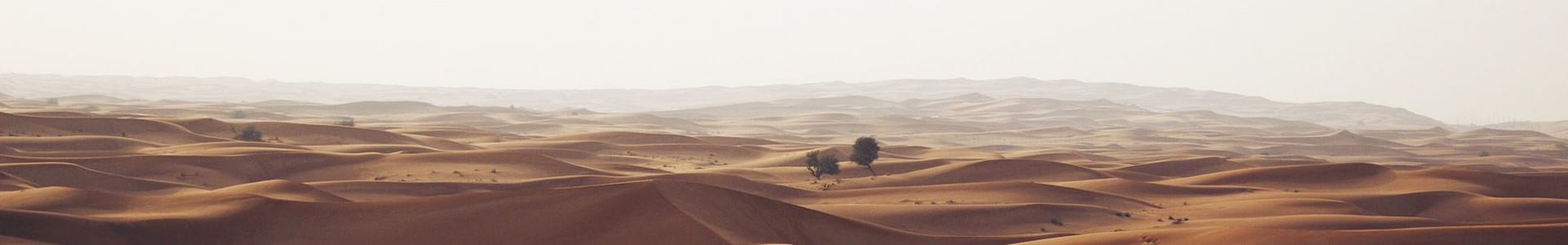 ڹʻ˴޹˾